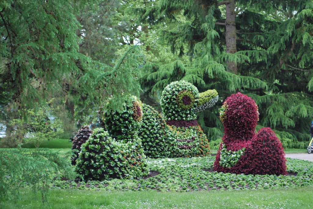 Duck Flower Art Statues Blumen Insel Mainau Deutschland / Flower Insland Mainau Germany