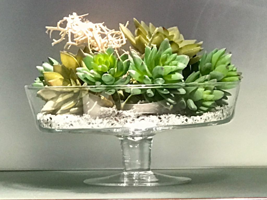 Elegant Succulent Decoration in a Glass Bowle with gray background at the Sheraton